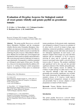 Evaluation of Dicyphus Hesperus for Biological Control of Sweet Potato Whiteﬂy and Potato Psyllid on Greenhouse Tomato