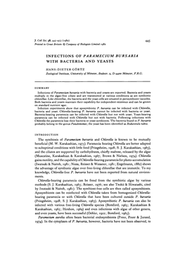 Infections of Paramecium Burs Aria with Bacteria and Yeasts