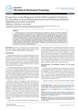 Perspectives on the Biogenesis of Iron Oxide Complexes Produced by Leptothrix, an Iron-Oxidizing Bacterium and Promising Industr