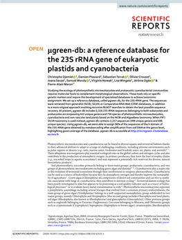 A Reference Database for the 23S Rrna Gene of Eukaryotic