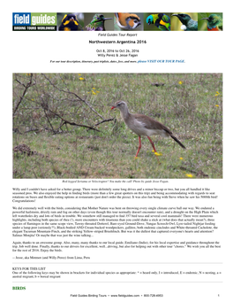 Northwestern Argentina 2016 BIRDS