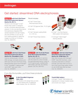 Streamlined DNA Electrophoresis