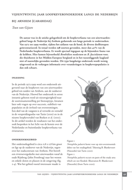 Vijfentwintig Jaar Loopkeveronderzoek Langs De Nederrijn Bij Arnhem (Carabidae)