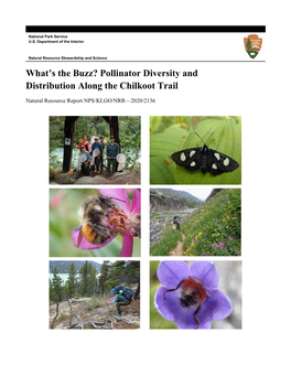 Pollinator Diversity and Distribution Along the Chilkoot Trail
