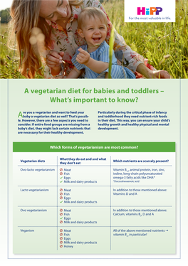 A Vegetarian Diet for Babies and Toddlers – What's Important to Know?