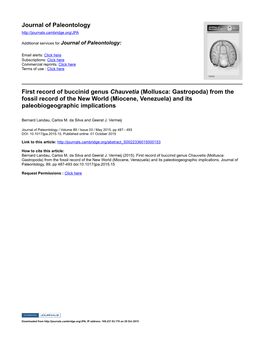 Journal of Paleontology First Record of Buccinid Genus Chauvetia