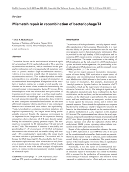 Mismatch Repair in Recombination of Bacteriophage T4