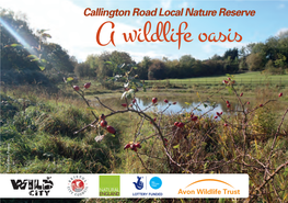 Callington Road Local Nature Reserve for the Benefit of Present and Future Generations