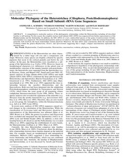 Molecular Phylogeny of the Heterotrichea (Ciliophora, Postciliodesmatophora) Based on Small Subunit Rrna Gene Sequences