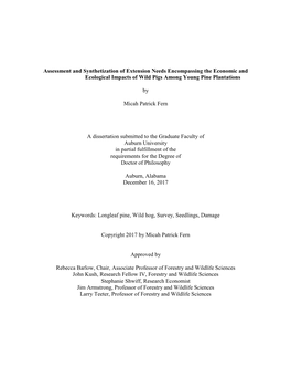 Fern Dissertation.Pdf