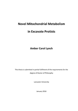 Novel Mitochondrial Metabolism in Excavate Protists