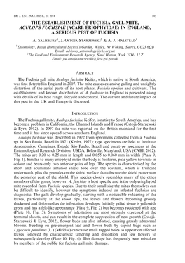 Read About the Establishment of Fuchsia Gall Mite in England, 2014