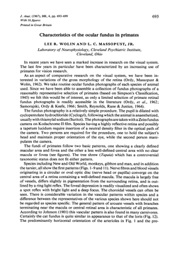 Characteristics of the Ocular Fundus in Primates