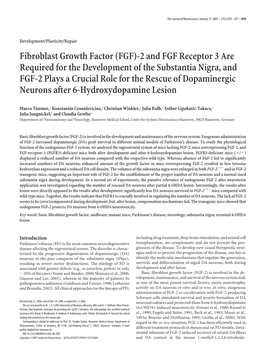 Fibroblast Growth Factor (FGF)