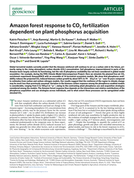 Amazon Forest Response to CO2 Fertilization Dependent on Plant Phosphorus Acquisition
