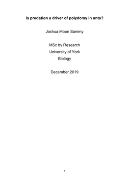 Is Predation a Driver of Polydomy in Ants? Joshua Moon Sammy Msc by Research University of York Biology December 2019