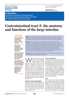 Gastrointestinal Tract 5: the Anatomy and Functions of the Large Intestine