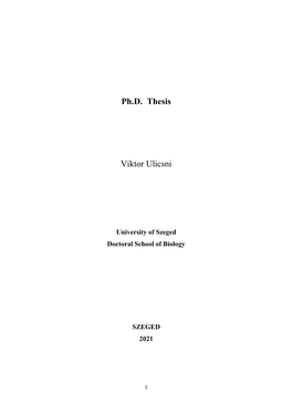 Ph.D. Thesis Viktor Ulicsni