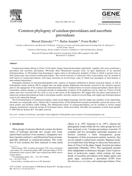 Common Phylogeny of Catalase-Peroxidases and Ascorbate Peroxidases