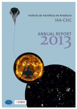 Report Iaa 2013.Pdf