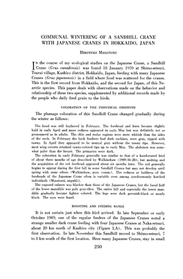 I N the Course of My Ecological Studies on the Japanese Crane, a Sandhill