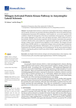 Mitogen-Activated Protein Kinase Pathway in Amyotrophic Lateral Sclerosis