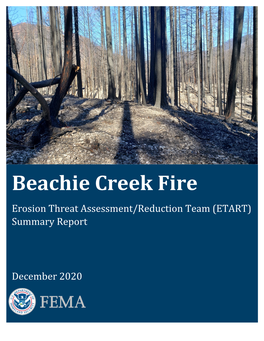 Beachie Creek Fire