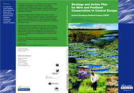 Strategy and Action Plan for Mire And