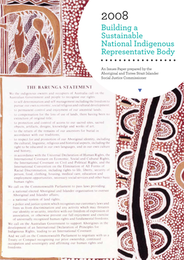 Building a Sustainable National Indigenous Representative Body