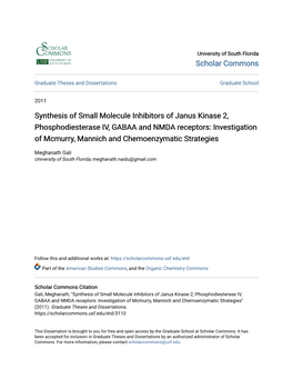 Synthesis of Small Molecule Inhibitors Of