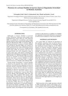 Presence of a Urinary Bladder in Egernia Depressa (Squamata: Scincidae) in Western Australia