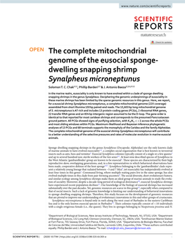 The Complete Mitochondrial Genome of the Eusocial Sponge-Dwelling Snapping Shrimp S