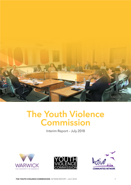 Youth Violence Commission Interim Report – July 2018