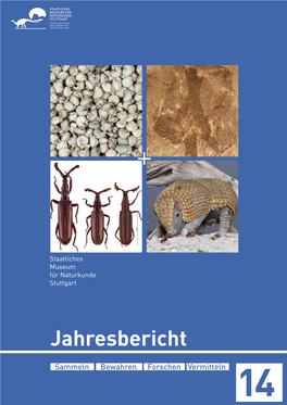 Jahresbericht 2014