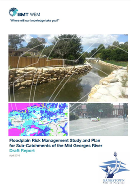 Floodplain Risk Management Study and Plan for Sub-Catchments of the Mid Georges River I Executive Summary