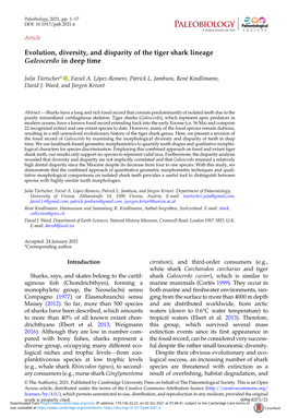 Evolution, Diversity, and Disparity of the Tiger Shark Lineage Galeocerdo in Deep Time