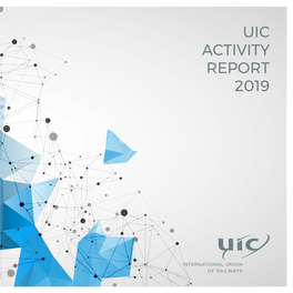 Uic Activity Report 2019