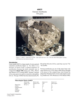 Ferroan Anorthosite 1836 Grams