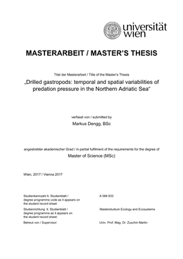 Masterarbeit / Master's Thesis