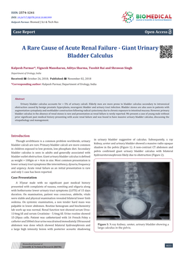 Giant Urinary Bladder Calculus