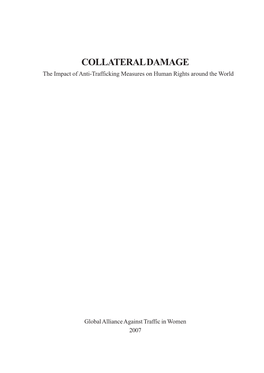 Collateral Damage 2007