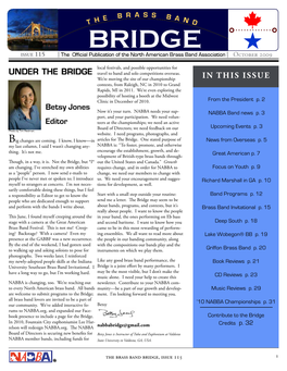 The Bridge Issue