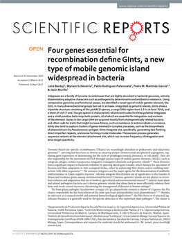 Four Genes Essential for Recombination Define Gints, a New