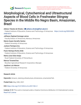 Morphological, Cytochemical and Ultrastructural Aspects of Blood Cells in Freshwater Stingray Species in the Middle Rio Negro Basin, Amazonian, Brazil