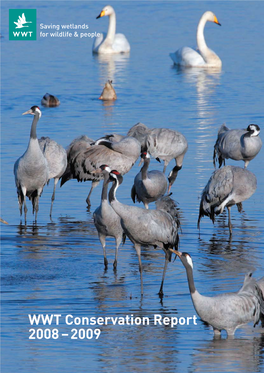 WWT Conservation Report 2008–2009