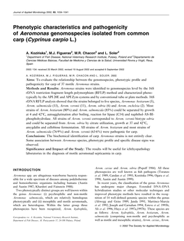 Phenotypic Characteristics and Pathogenicity of Aeromonas Genomospecies Isolated from Common Carp (Cyprinus Carpio L.)