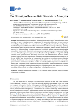 The Diversity of Intermediate Filaments in Astrocytes