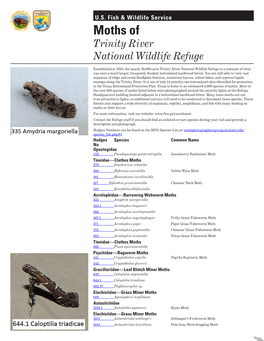 Moths of Trinity River National Wildlife Refuge