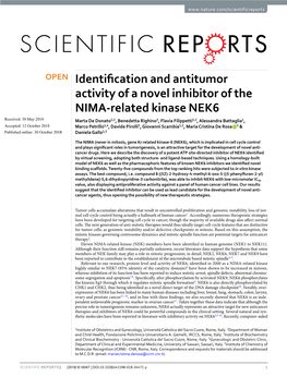 Identification and Antitumor Activity of a Novel Inhibitor of the NIMA-Related