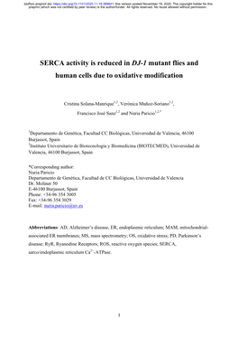 SERCA Activity Is Reduced in DJ-1 Mutant Flies and Human Cells Due to Oxidative Modification